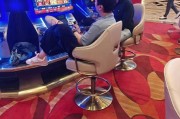 PA猛龙传奇app网址搜索需谨慎 安全识别与防骗指南